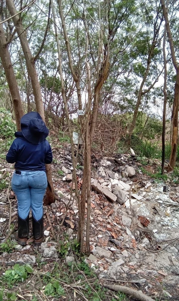 Fotos da Galeria 5